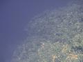 Album_2 (20)